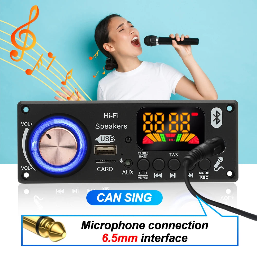 200W Amplifier Bluetooth 5.3 DIY MP3 WAV Decoder Board DC 12V 50W 100W Wireless Car USB MP3 Player TF Card Slot USB FM with Mic